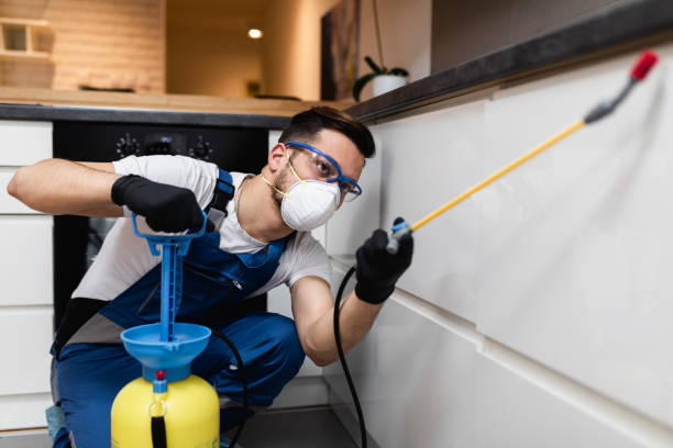 Best Wasp Removal Services  in Cumberland, WI
