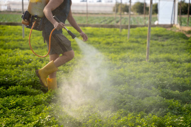 Best Affordable Pest Control Services  in Cumberland, WI