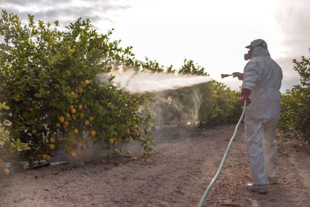 Best Emergency Pest Control  in Cumberland, WI