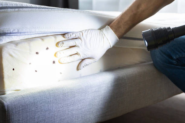 Best Pest Control for Restaurants  in Cumberland, WI