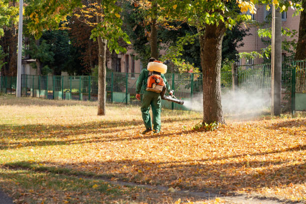 Best Best Pest Control Companies  in Cumberland, WI