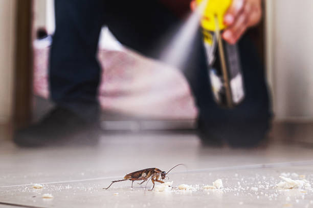  Cumberland, WI Pest Control Pros