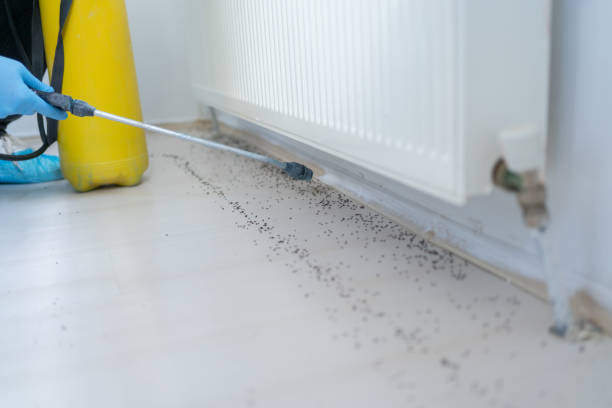 Best Residential Pest Control  in Cumberland, WI
