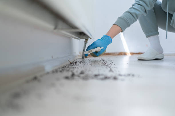 Best Termite Control Services  in Cumberland, WI