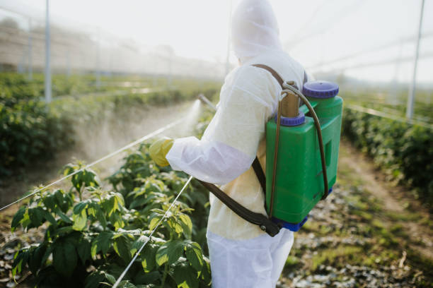 Best Pest Inspection Near Me  in Cumberland, WI